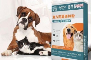 狗狗突然咳嗽，怎么办？（四个月大的狗狗咳嗽可能的原因、诊断方法和治疗方案）