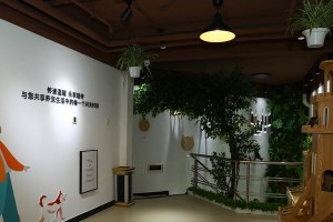 探秘北京宠物饰品店——宠物用品的天堂（挑选各类宠物饰品，满足宠物的个性化需求）