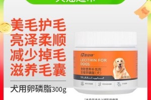 如何减少泰迪狗的掉毛问题（探索适合泰迪狗的饮食和护理方法）