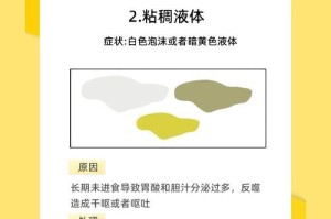 猫咪呕吐症状解析（探究猫咪呕吐的原因和应对之策）