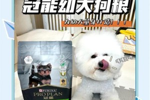 比熊的理毛与成长（了解比熊的理毛频率和成熟时间）