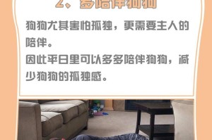 狗狗为何喜欢你？（探究狗狗对主人的喜爱，从行为和情感两方面解析）