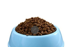 6个月大的狗狗应该吃什么狗粮？（全面满足营养需求，）