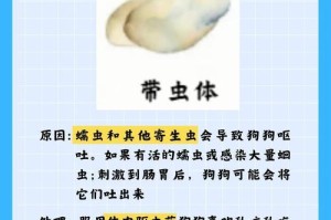 狗吐呕吐的原因及预防措施（探究狗为何会出现呕吐现象，以及如何预防呕吐发生）