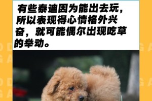 泰迪最不能吃的东西是什么？（了解泰迪的饮食禁忌，守护它的健康）