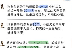 给狗晒太阳的最佳时间和时长（狗晒太阳的好处及注意事项）