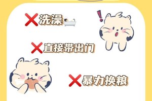 如何照顾幼猫？饲养幼猫的注意事项（关爱无微不至培养健康快乐的小猫）