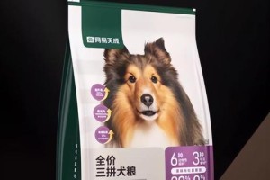 大型狗的健康与饮食（选择适合大型狗的狗粮，让它们活力四溢）