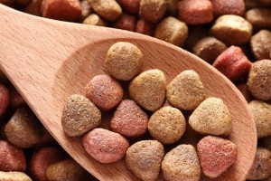 中亚犬的理想狗粮选择（为你的中亚犬提供最佳营养保障）