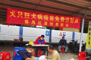 狗狗第二年应该接种哪些疫苗？（保护狗狗健康，及时接种必要的疫苗）