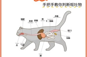 小猫总吐的原因及解决方法（揭开小猫吐的原因，让你的爱宠健康成长）