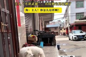 为什么狗狗会咬尾巴还叫？（探索狗狗咬尾巴行为的原因和背后的含义）