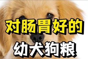 幼犬三个月后的饮食安排（选择合适的狗粮，为幼犬提供均衡营养）