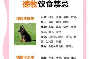 德国牧羊犬与杜宾犬（探究为何德国牧羊犬备受喜爱）