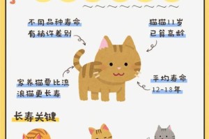 如何帮助猫咪掉牙齿后恢复食欲？（营养均衡的食物是关键）