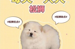 松狮小狗崽的成长之旅（从出生到长大，你需要知道的一切）