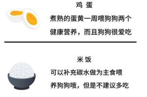 小狗吃了东西多久大便？（狗狗的消化过程与大小便时间的关系）