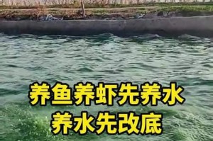 如何选择适合养鱼的水质（了解各种水质对养鱼的影响，选择最佳水质环境）
