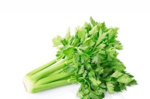 仓鼠夏季蔬菜饮食指南（夏天给仓鼠吃什么蔬菜最好？）