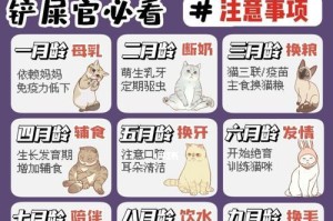 灰尾田鼠的饲养方法（如何让你的灰尾田鼠健康成长）