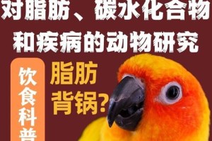 宠物鸟的饮食需求和营养均衡（了解宠物鸟的食物需求，健康呵护您的小伙伴）