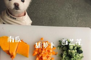出生20天的小狗饮食指南（为你的狗宝宝提供健康与营养的食物）