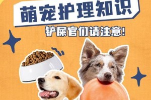 如何给泰迪狗狗进行驱虫？（关键的驱虫方法，让泰迪宠物健康幸福）