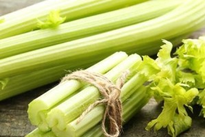 一个月大的贵宾适合食用哪些水果？（了解贵宾犬的水果饮食需要注意什么）