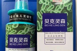 热带鱼疾病常见症状与治疗方法（了解热带鱼常见病症，守护它们的健康）