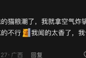 为什么猫不喜欢吃猫粮？（探究猫对猫粮的偏好及原因）