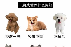狗狗常用名大盘点（探索各种可爱的狗狗名字，找到适合你家宠物的完美选择！）
