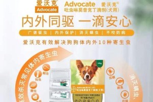 拜耳驱虫药的使用注意事项与时间（正确用药，健康驱虫）