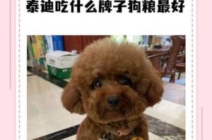 狼狗饮食攻略（了解狼狗的饮食需求，选择适合的狗粮）