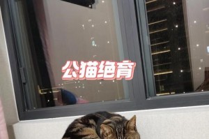 公猫结扎时间及注意事项（为您解答公猫结扎的最佳时间和相关问题）