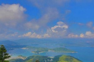 如何饲养澳洲帝王蝶？（一步步教你打造理想的蝶室）