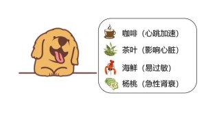 狗手术后禁食须知（了解狗手术后的饮食禁忌，守护爱宠的健康）