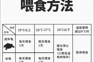 适合新手饲养的水龟推荐（选择适合家养的水龟品种，让新手养龟更轻松）