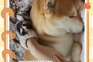 狗狗的睡眠时间（探究狗狗睡觉的习惯和睡眠需求）