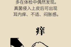 宝宝耳朵上长毛的涵意和解读（从生理、心理和文化角度解析宝宝耳朵上长毛的意义）
