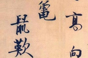 狨鼠饲养全指南（萌宠养成、健康呵护、生活乐趣）