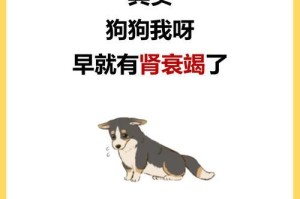 狗肾衰竭的饮食管理（了解狗肾衰竭患者的适宜饮食和禁忌）