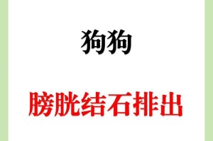 狗狗膀胱结石（了解狗狗膀胱结石，保护你的宠物健康）
