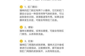 猫猫肛门外突的原因和治疗方法（探究猫猫肛门外突的病因与预防措施）