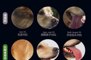 比熊需要多久吃一个蛋黄？（探究比熊饮食中蛋黄的频率和好处）