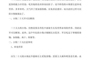 小狗断奶时间及注意事项