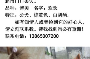 黄色博美剃胎毛的最佳时机（了解博美狗剃胎毛的重要性及最佳时机）