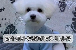 两个月大的狗狗应该吃什么？（适合两个月大狗狗的饮食推荐）