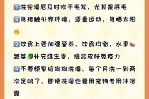 狗湿疹的症状及治疗方法（了解狗湿疹的症状及如何有效治疗）