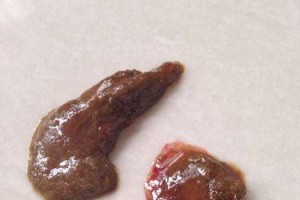 小狗为何会吃自己的便便？（探究小狗食用粪便的原因及解决方法）