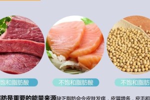 土狗吃狗粮的好处（为你的土狗提供全面营养的狗粮）